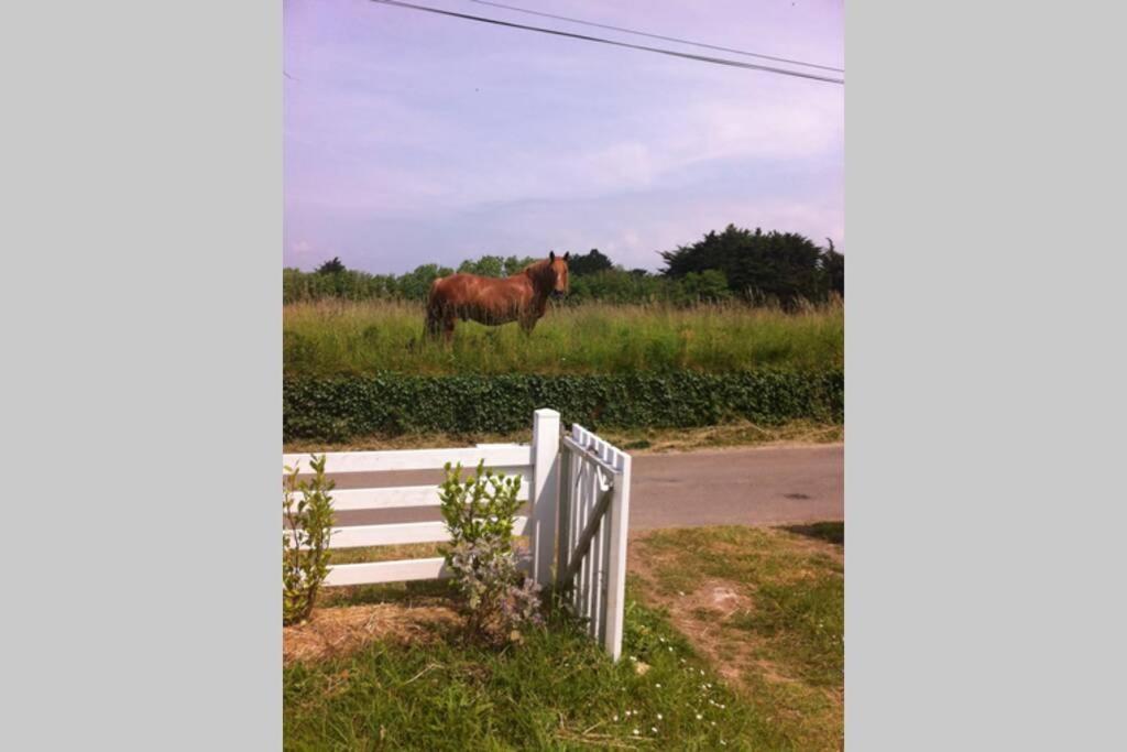 Detached House Near Beaches Esquibien Extérieur photo
